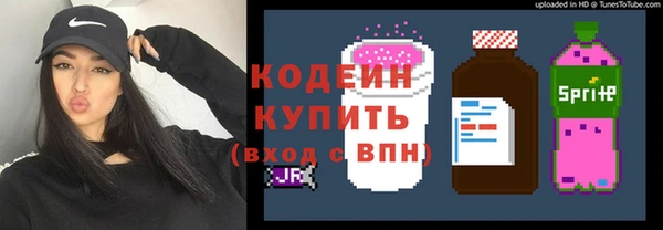 ГАЛЛЮЦИНОГЕННЫЕ ГРИБЫ Абаза