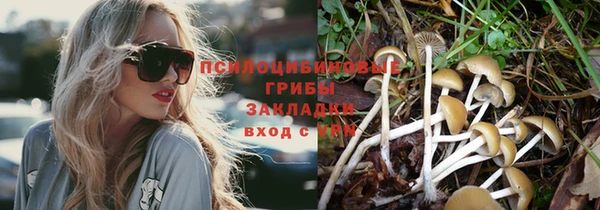 ГАЛЛЮЦИНОГЕННЫЕ ГРИБЫ Абаза