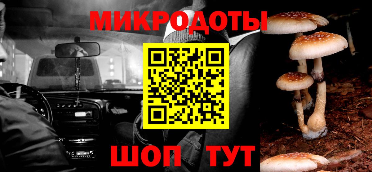 Галлюциногенные грибы GOLDEN TEACHER Братск